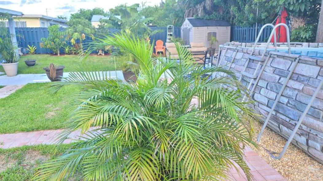 Palm Springs 3-Bedroom 2-Bath 5 Miles To The Beach Lake Worth Beach Esterno foto